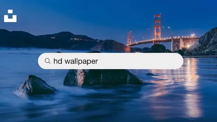 Hình ảnh từ Unsplash