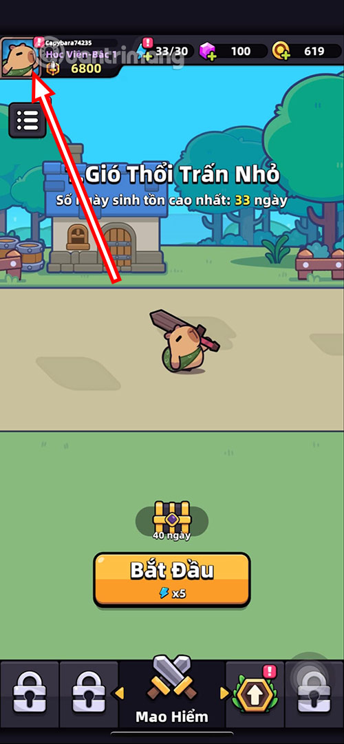 code-capybara-go-1 code Capybara Go